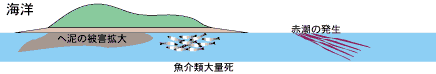 �Ӊ����e��